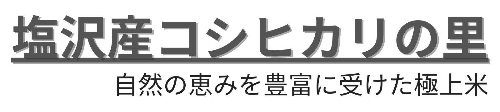 塩沢産コシヒカリの里